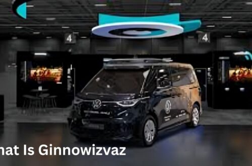 What Is Ginnowizvaz